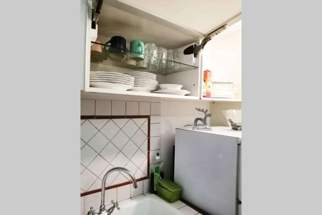 Santa Maria Novella Station Florentine Apartment 佛罗伦萨 外观 照片